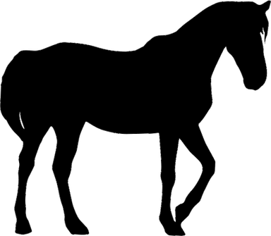 Arabian Horse PNG