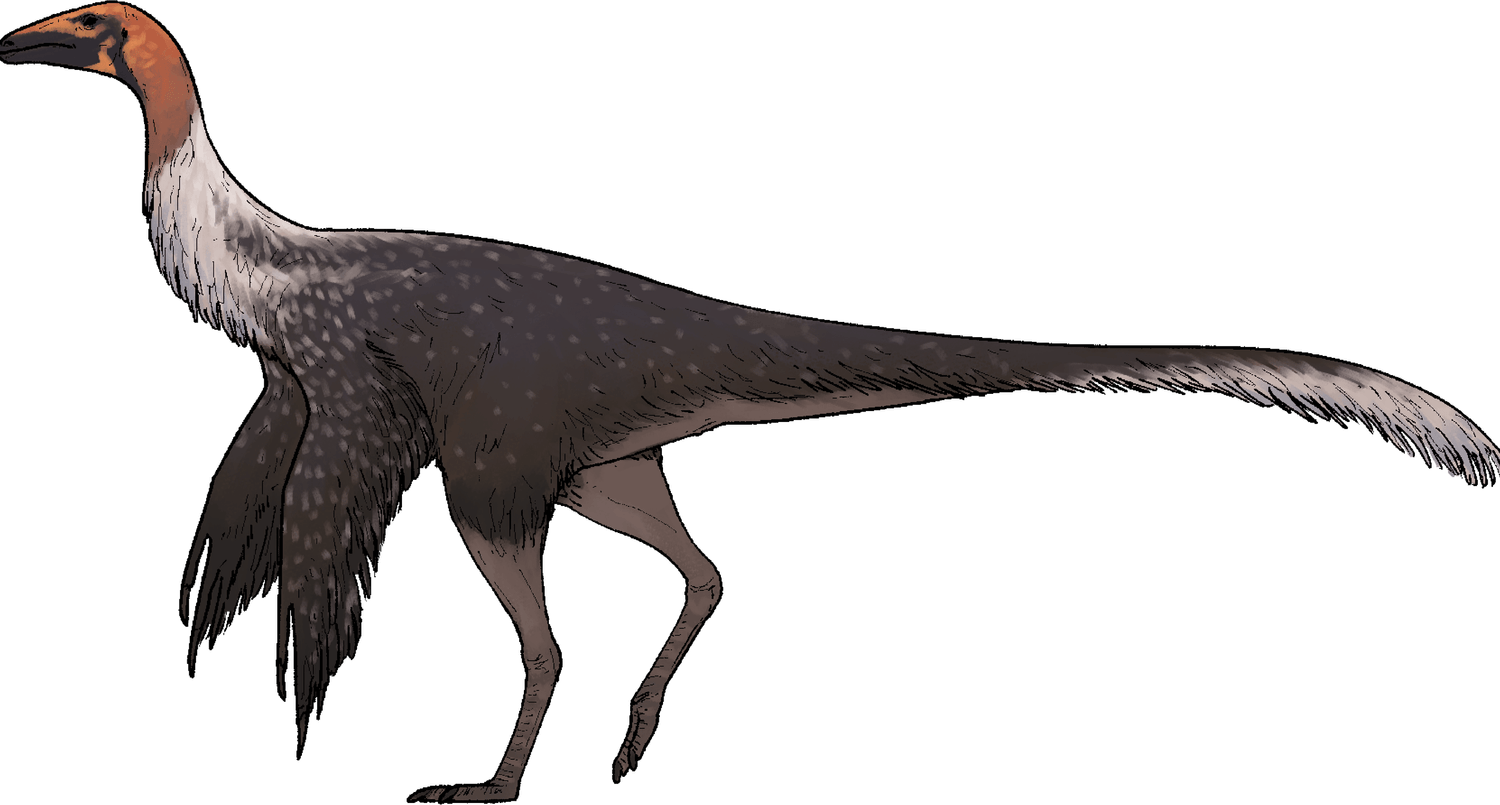 Dinosaur Bird PNG