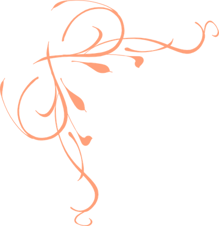 Peach Flower Border PNG