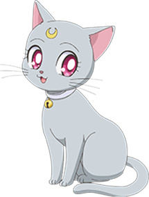 Sailor Moon Cat PNG