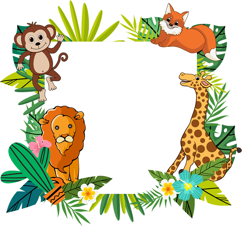 Jungle PNG