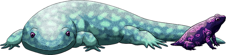 Caecilians PNG