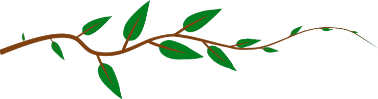 Green Vines PNG