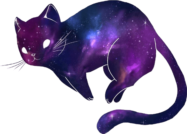 Kawaii Cat PNG