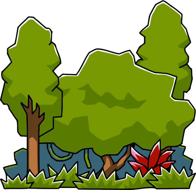 Jungle Grass PNG