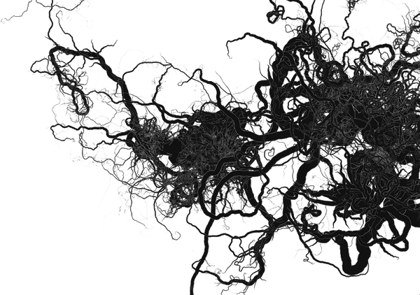 Vein PNG