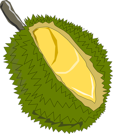 Soursop PNG