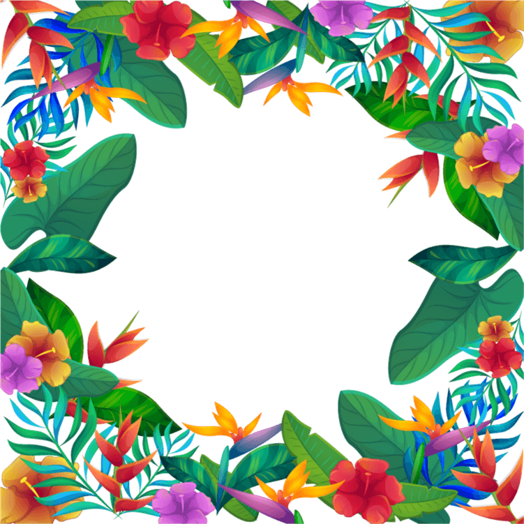 Flower Leaf Border PNG