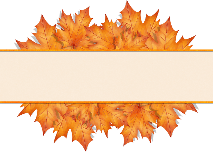 Leaves Banner PNG