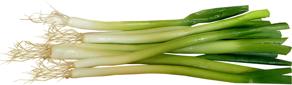 Spring Onions PNG