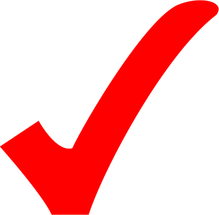 Red Check Mark PNG