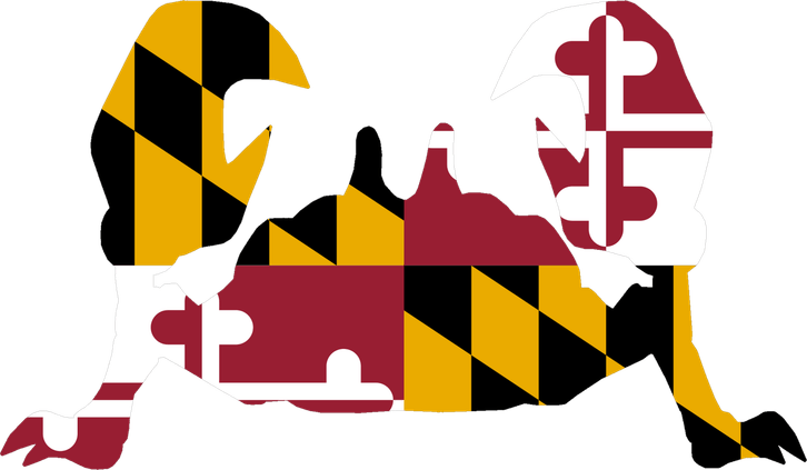Maryland State Flag PNG