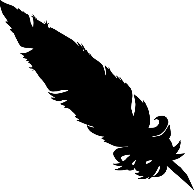 Black Feathers PNG