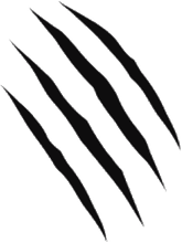 Claw Scratch PNG