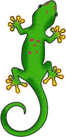 Madagascar Iguanids PNG