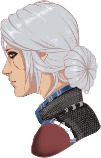 The Witcher PNG