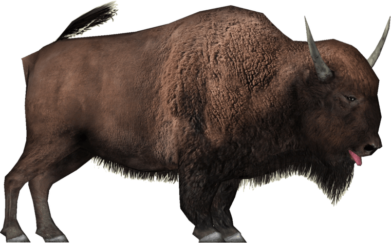 Bison PNG