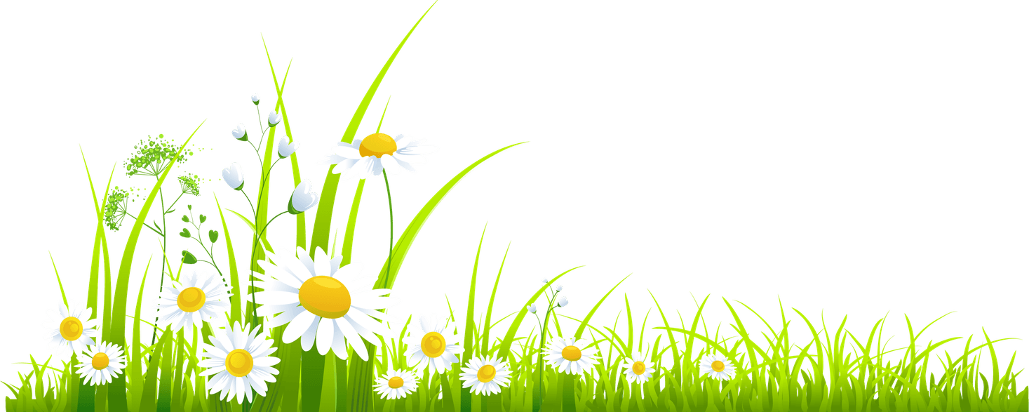 Spring PNG