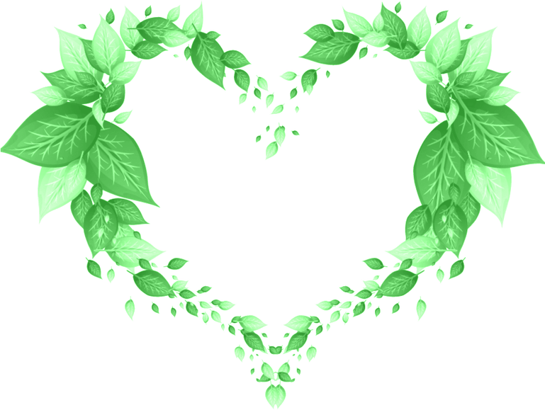 Border Leaves PNG