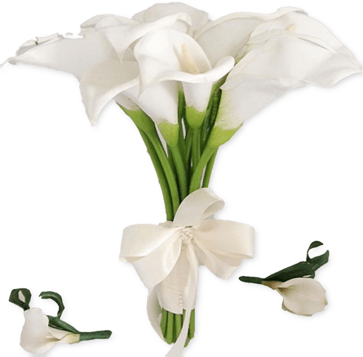 Calla Lily PNG