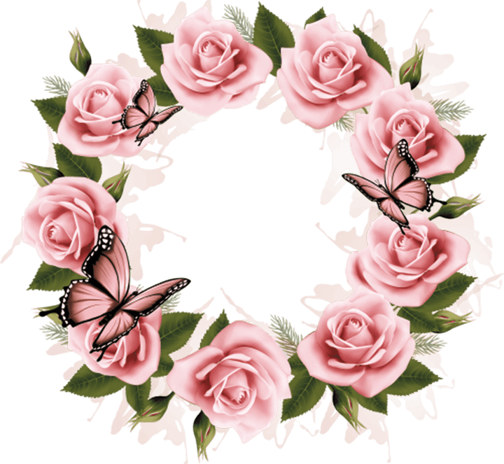 Frame Butterfly PNG