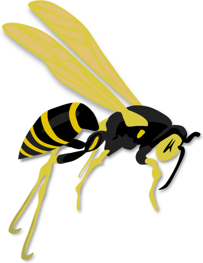 Hornet Insect PNG