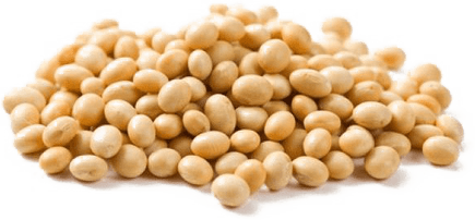 Soybeans PNG