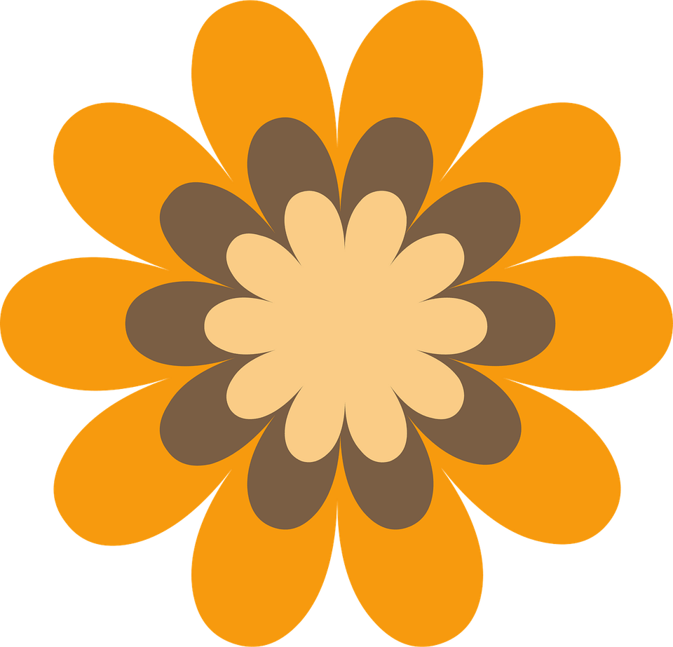 70s Flower PNG