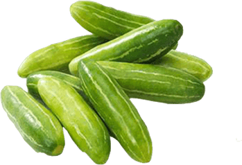 Ivy Gourd PNG
