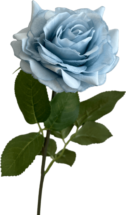 Real Blue Flower PNG