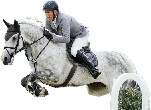 Ludger Beerbaum PNG