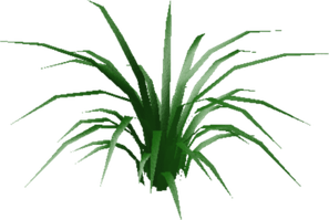 Little Grass PNG