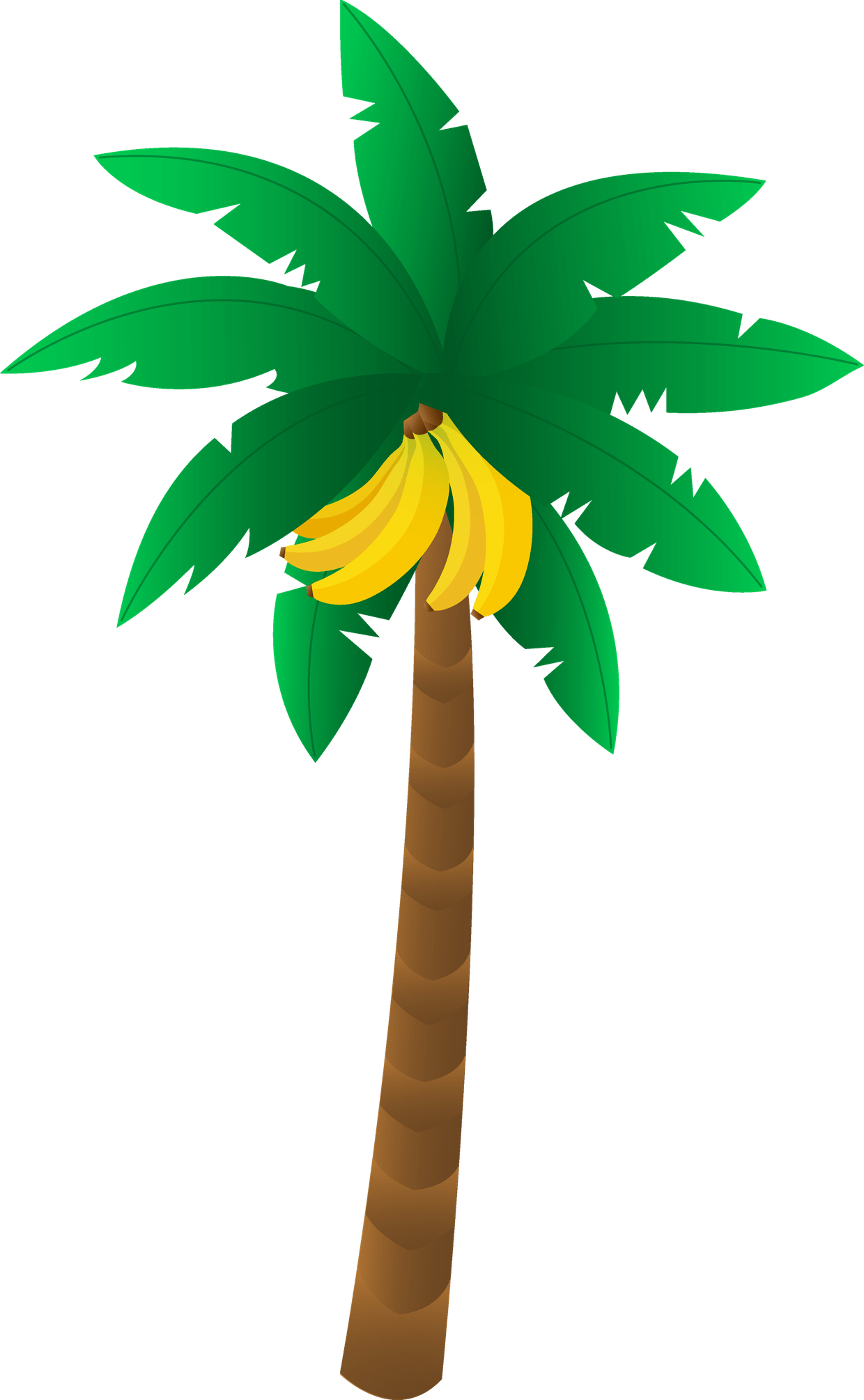 Wedding Banana Tree PNG