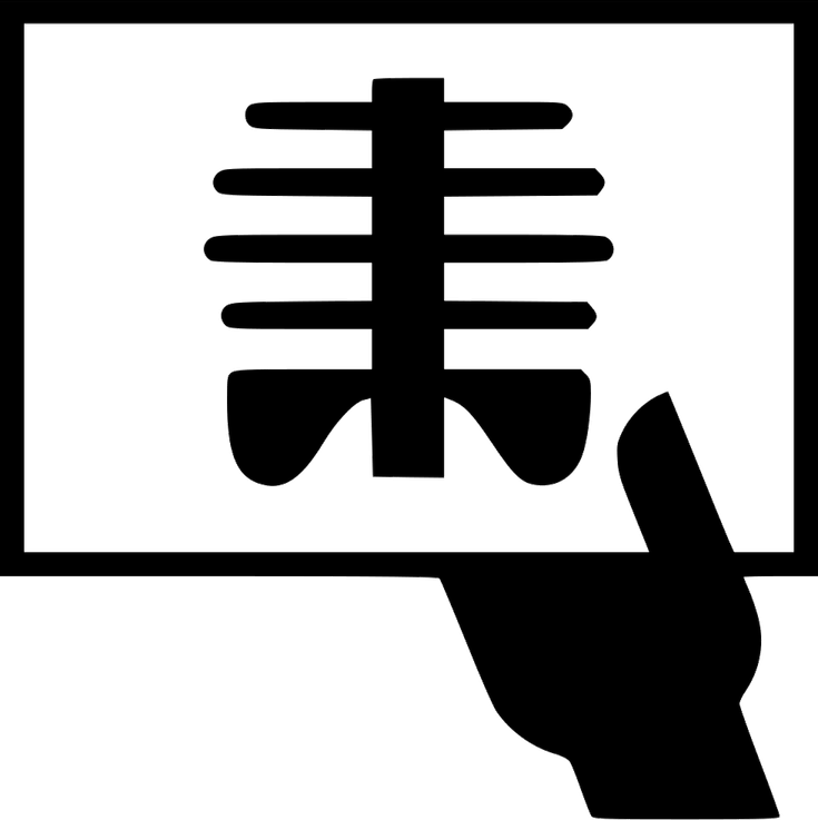 X Ray PNG