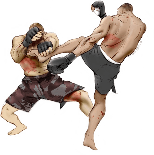 Mixed Martial Artist PNG