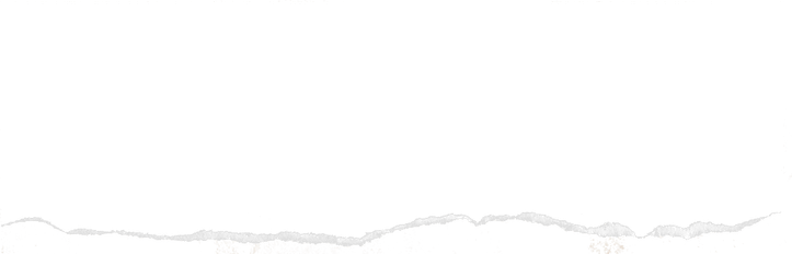 Page Rip PNG