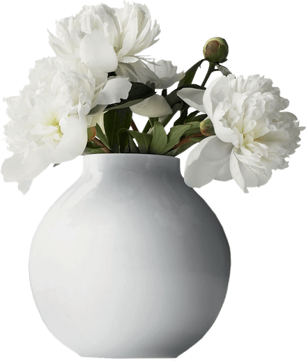 Vase PNG