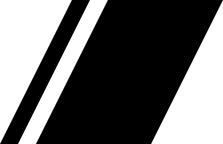 Racing Stripes PNG
