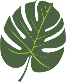 Tropical Leaves Border PNG