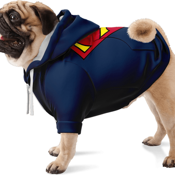 Superhero Dog PNG