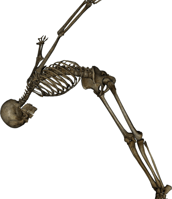 Skeleton PNG