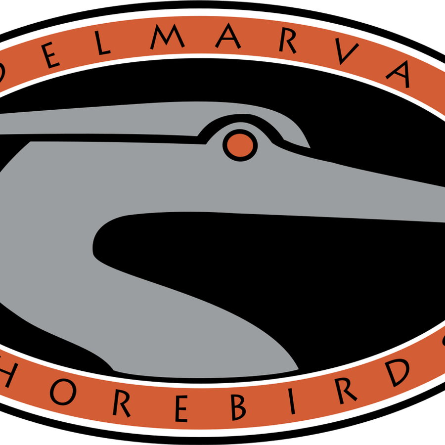 Delmarva Shorebirds PNG