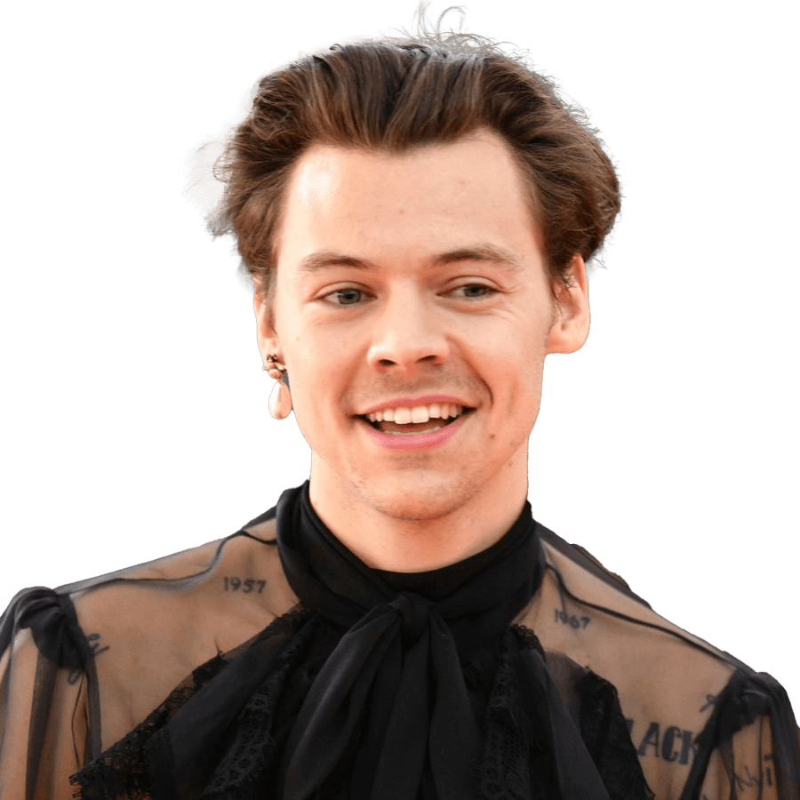 Harry Styles PNG