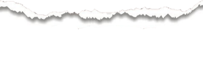 Page Rip PNG