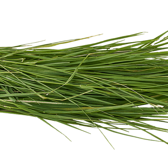 Anime Grass PNG