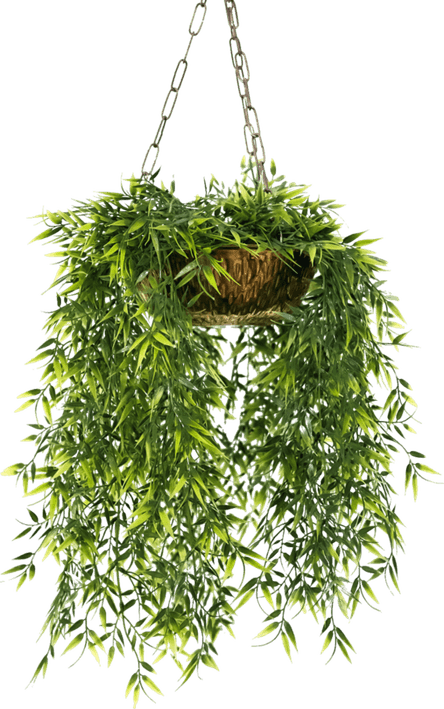 Hanging Flower PNG