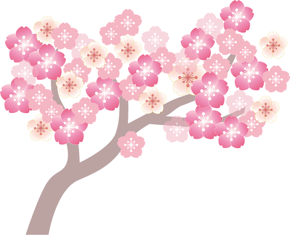 Cherry Tree PNG