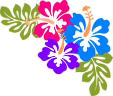 Hawaiian Flowers PNG