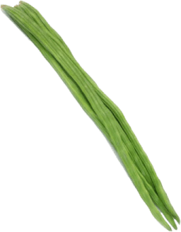Drumstick Vegetable PNG