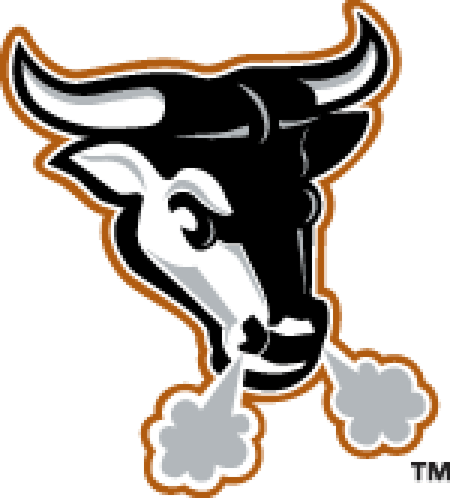 Durham Bulls PNG